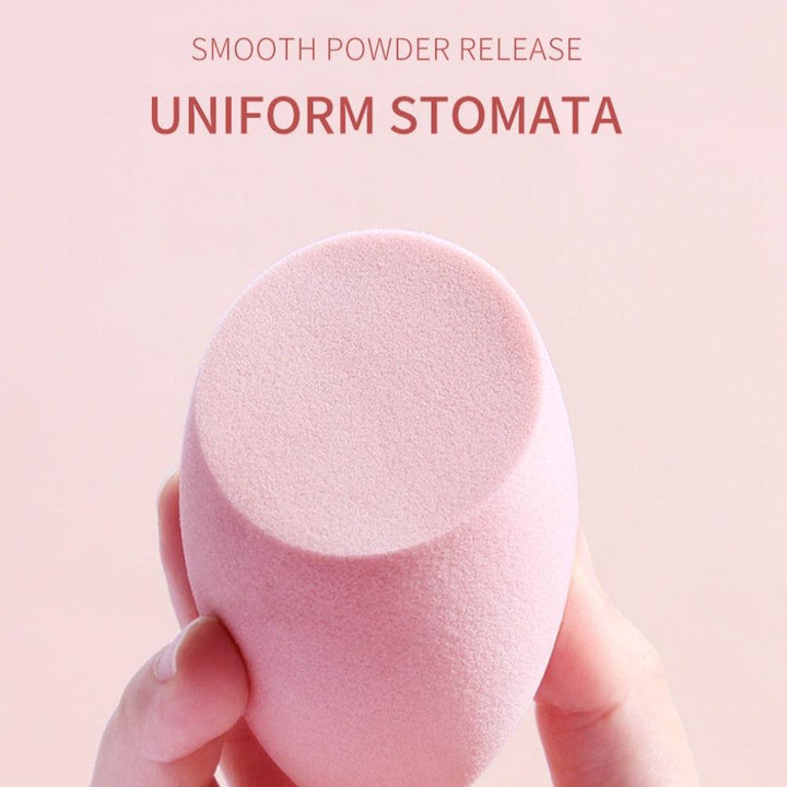 Premium Makeup Sponge Set – Wet And Dry Cosmetic Puffs