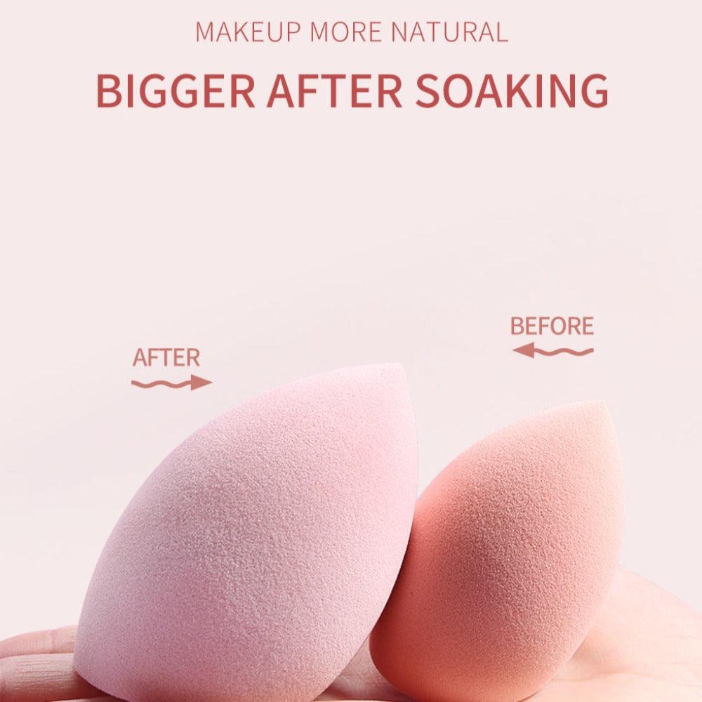 Premium Makeup Sponge Set – Wet And Dry Cosmetic Puffs