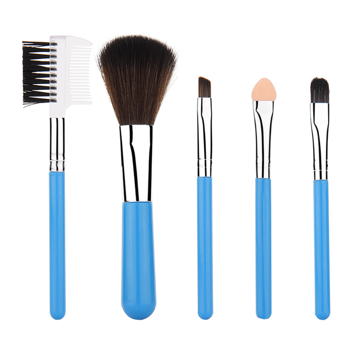 5 Piece Mini Travel Brush Set