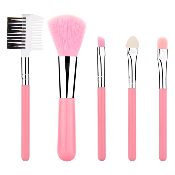 5 Piece Mini Travel Brush Set